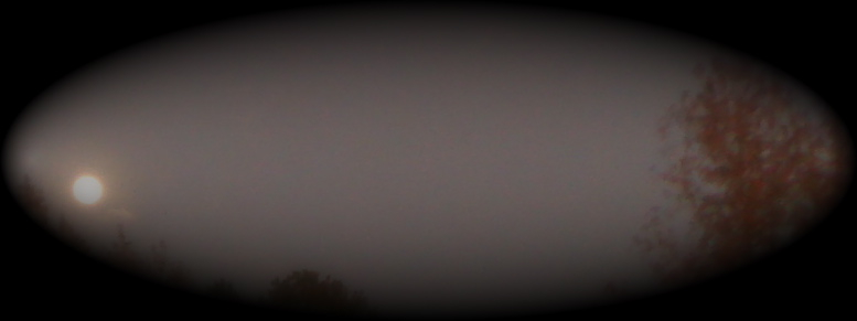 picture of Autumn Moonrise in Tuscaloosa, AL; oval shape with moon and tree in the shadows
